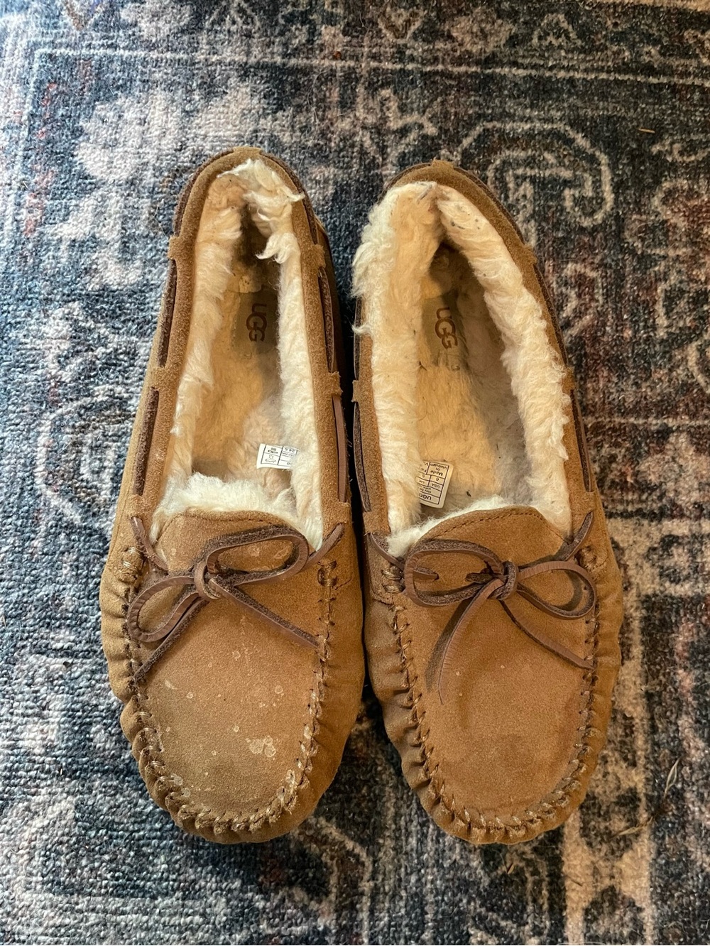 Ugg Dakota slippers